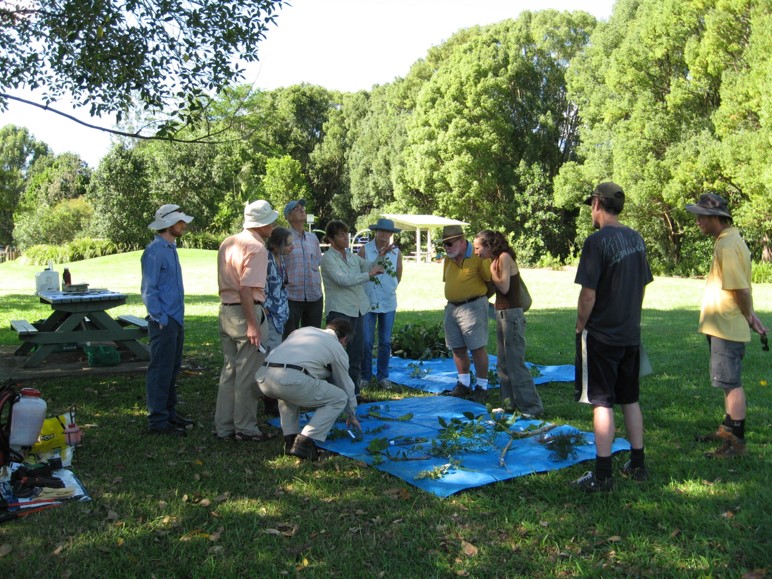 Weed Id Workshop