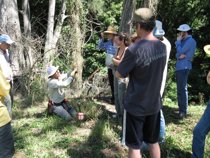 Weed Control Workshop