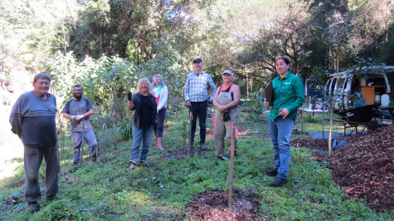 Byrrill Creek Landcare Group Shot 1