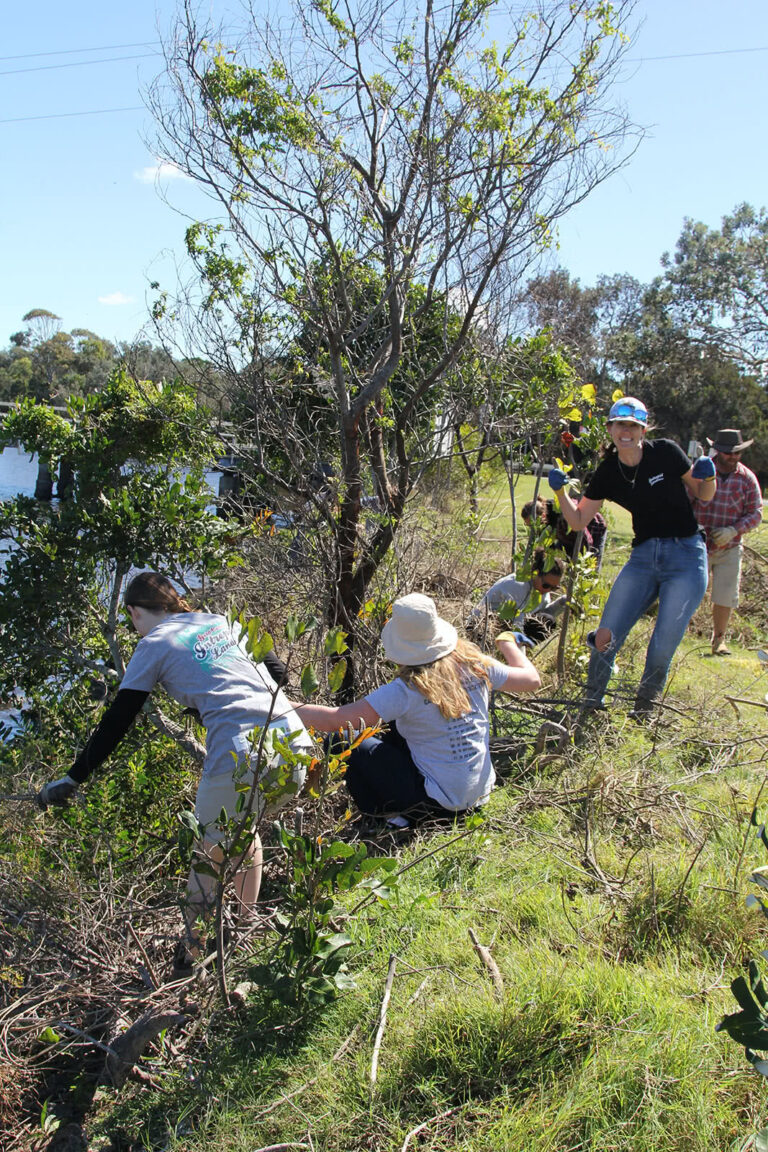 Northern Rivers Intrepid Landcare Group Weeding