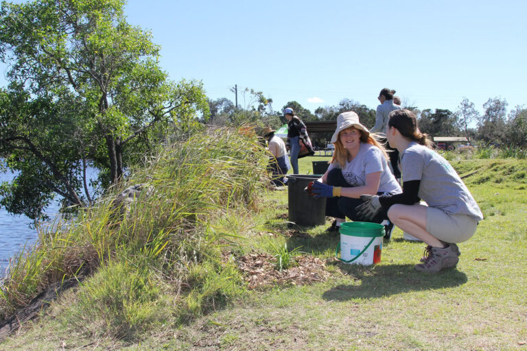 Northern Rivers Intrepid Landcare Planting And Chatting