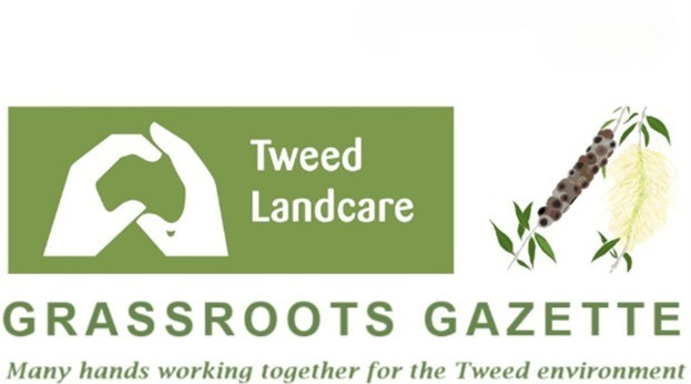 grassroots gazette logo (2)