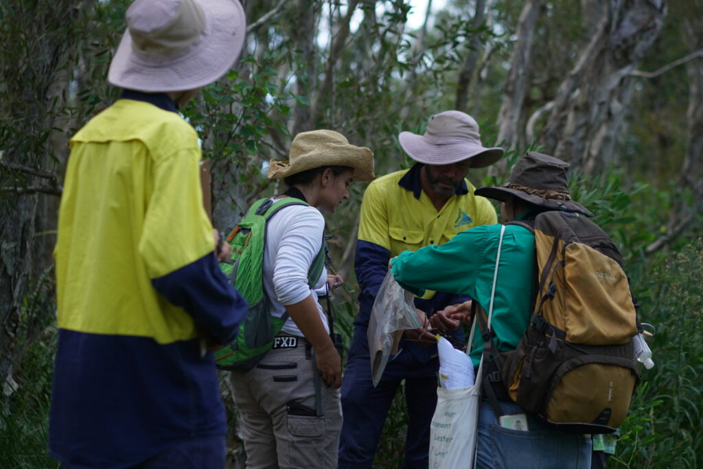 image 123650291 (2) (1)