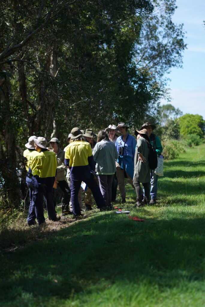 image 241090803 (1) (1)