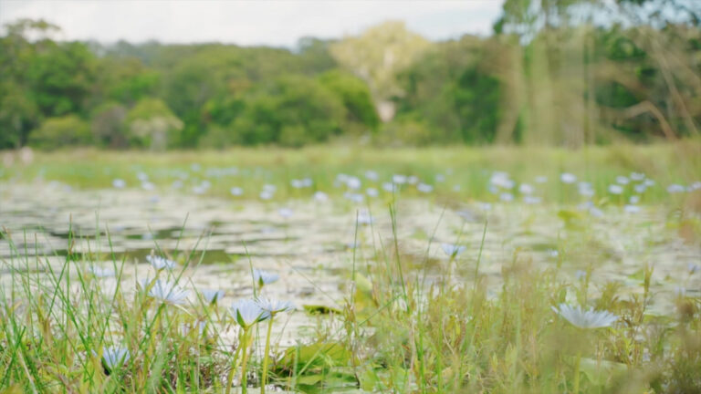 header2